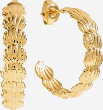 Cala Rose Ohrringe 'LONO' in Gold: Vorderseite