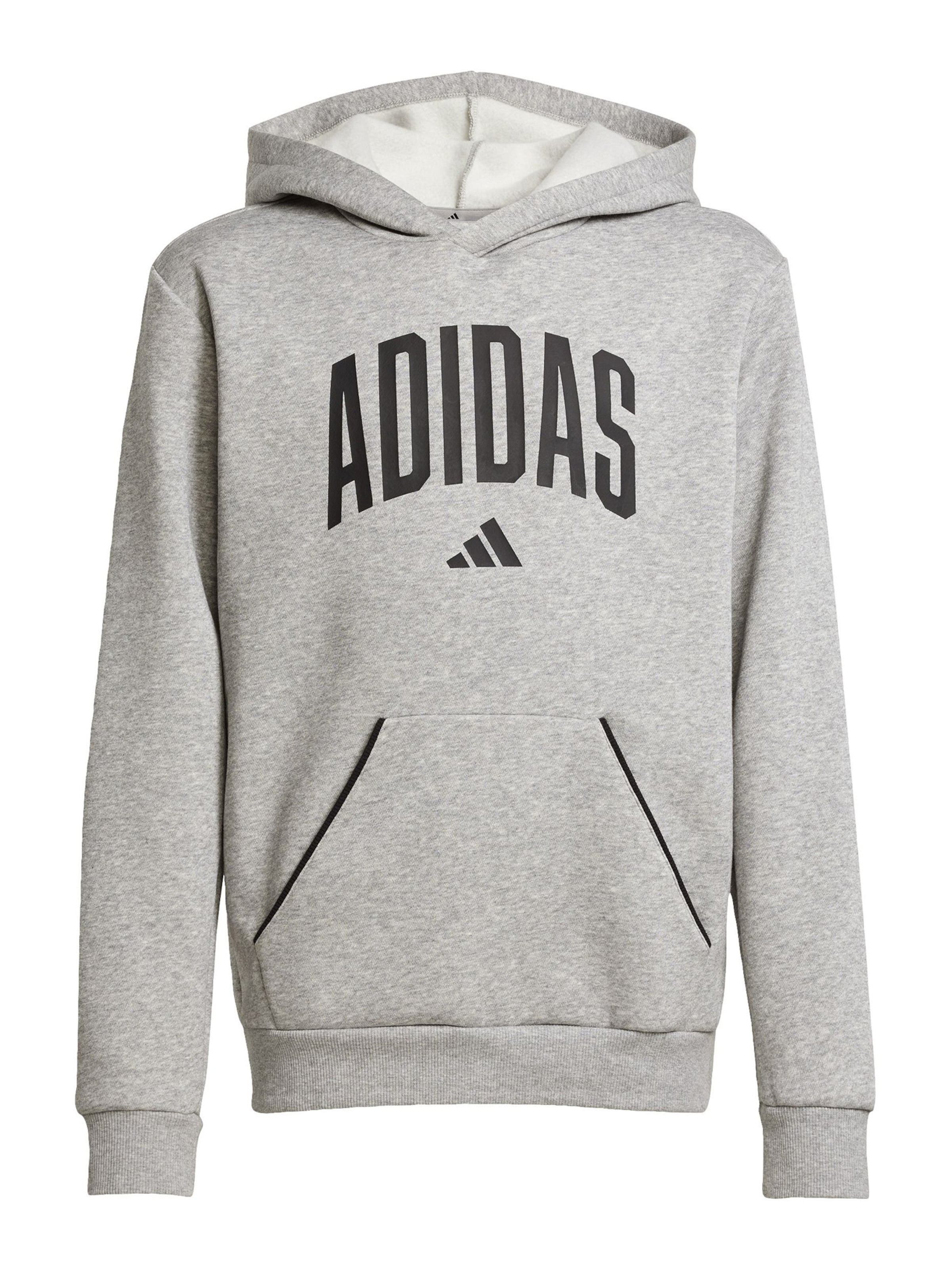 ADIDAS SPORTSWEAR Спортен суитшърт в сиво: отпред