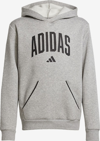 ADIDAS SPORTSWEAR Спортивный свитшот в Серый: спереди