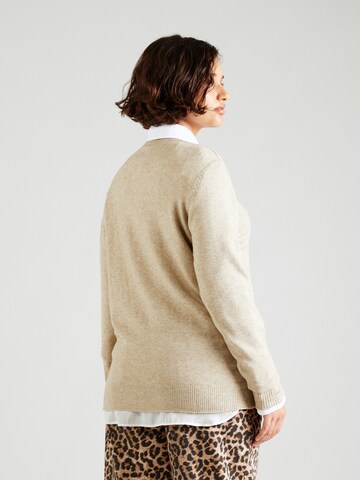 Pull-over 'VIRIL' EVOKED en beige