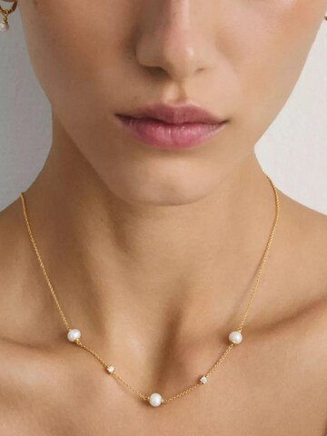 Chaîne 'Vergoldete Halskette mit Süßwasserperlen & Zirkonia' Thomas Sabo en or
