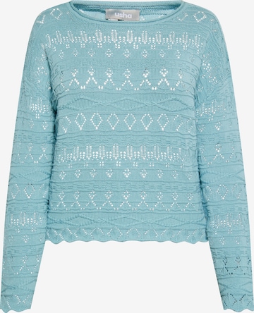 Usha Pullover in Blau: Vorderseite