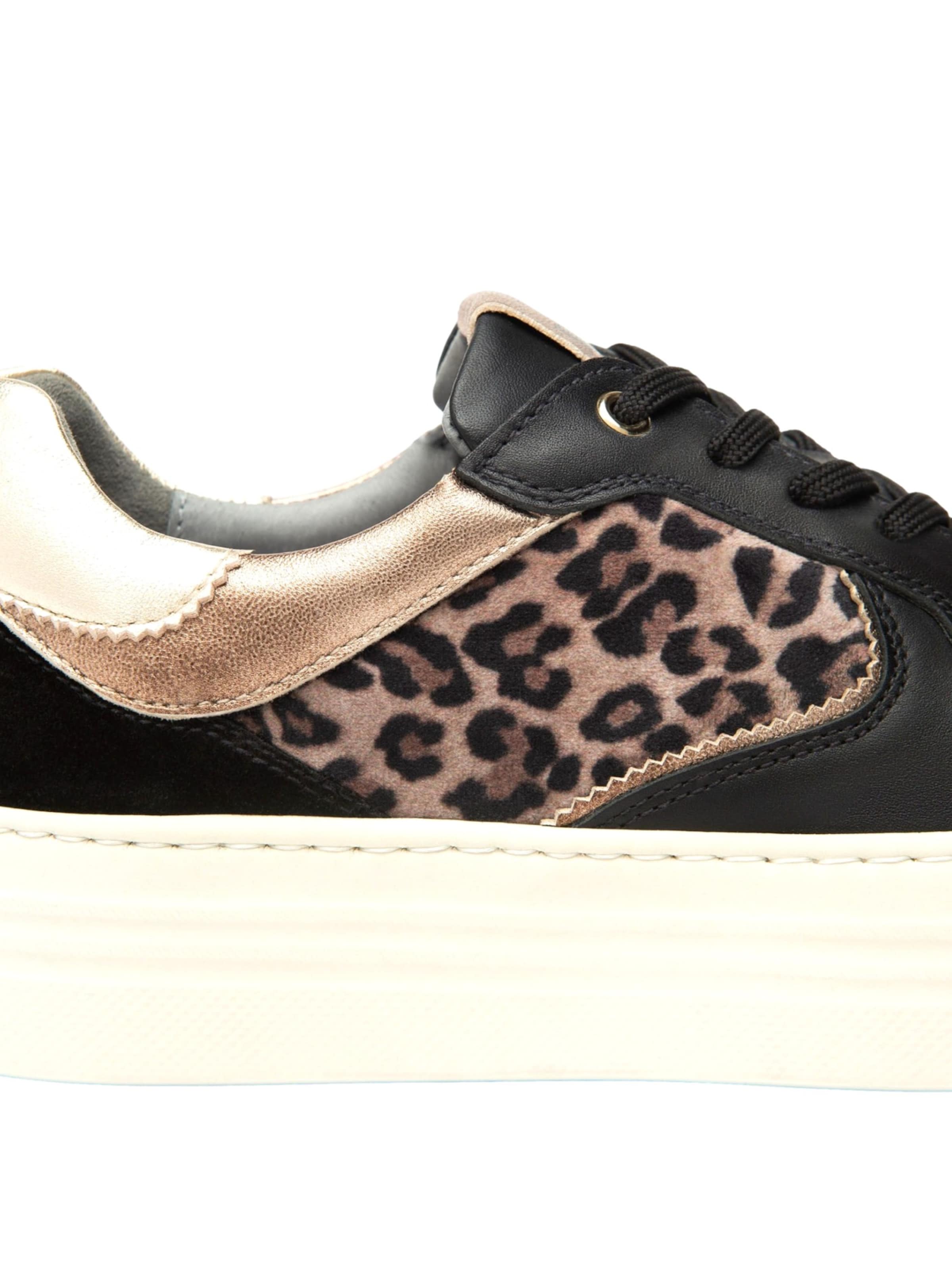 Baskets basses Nero Giardini en noir