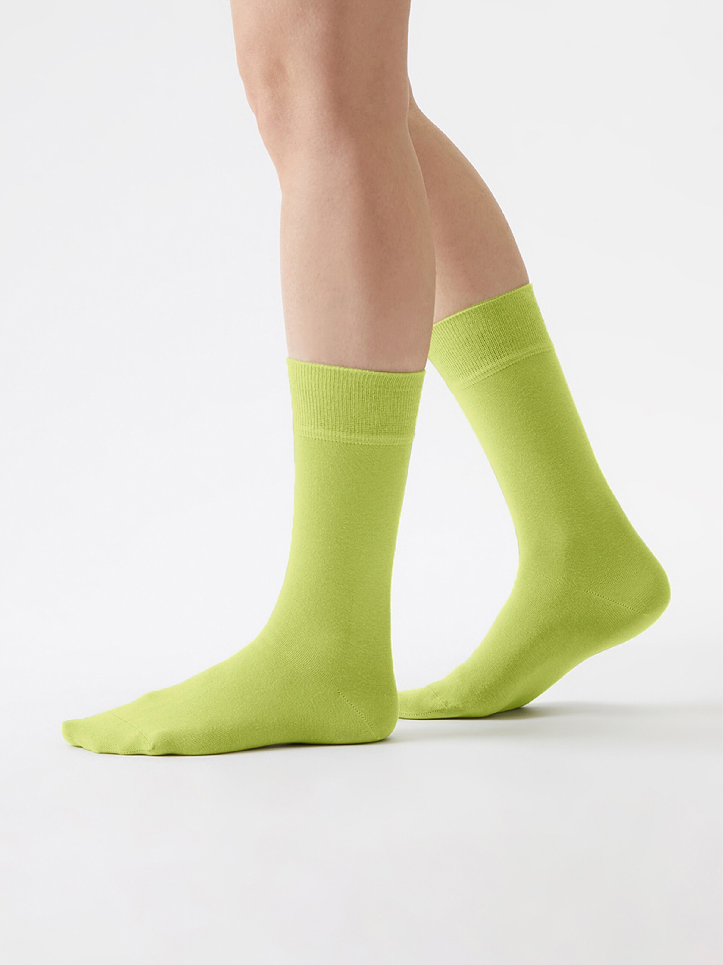 Von Jungfeld Socks 'SIGNATURE' in Green: front