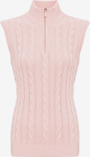 Felix Hardy Pull-over en rose, Vue avec produit