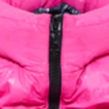 Carlo Colucci Winterjacke 'Deane' in Pink