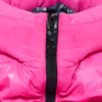 Carlo Colucci Winter Jacket 'Deane' in Pink