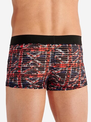HOM Boxer shorts 'Malcom' in Mixed colours