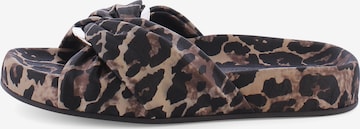 Mule 'SODA' Kennel & Schmenger en marron : devant