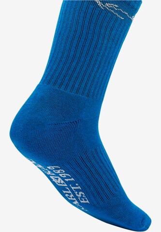Karl Kani Socks in Blue
