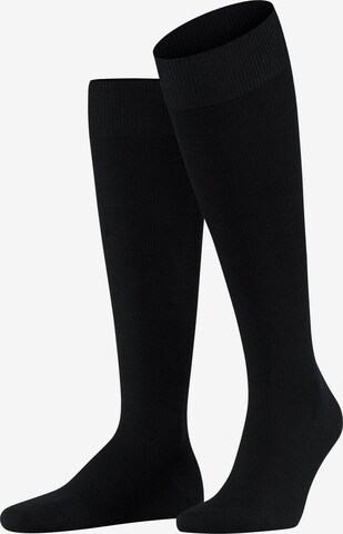 FALKE Knee High Socks 'Energizing Wool' in Black: front