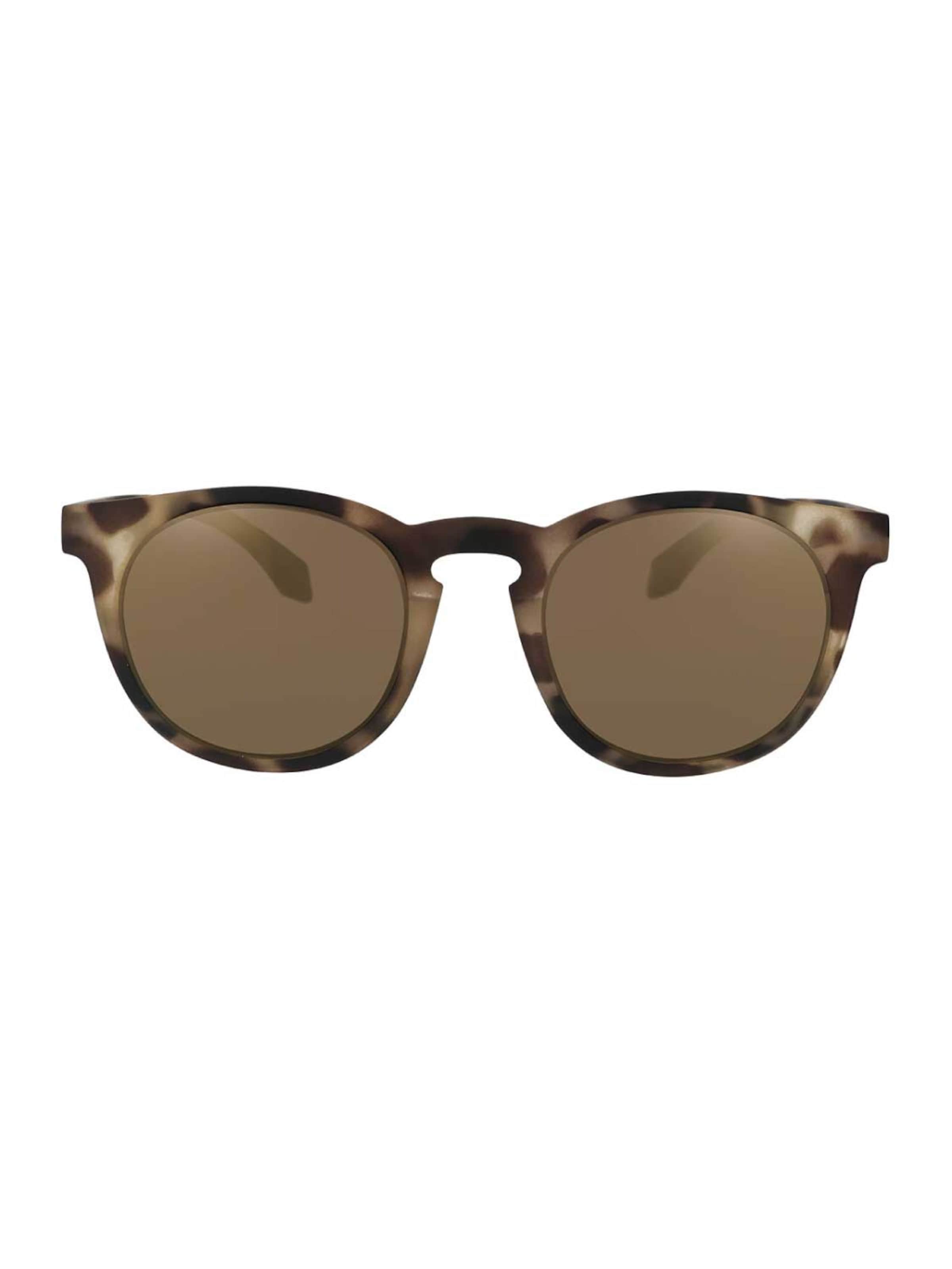 Alsteca Sunglasses 'Wynwood C12' in Brown: front