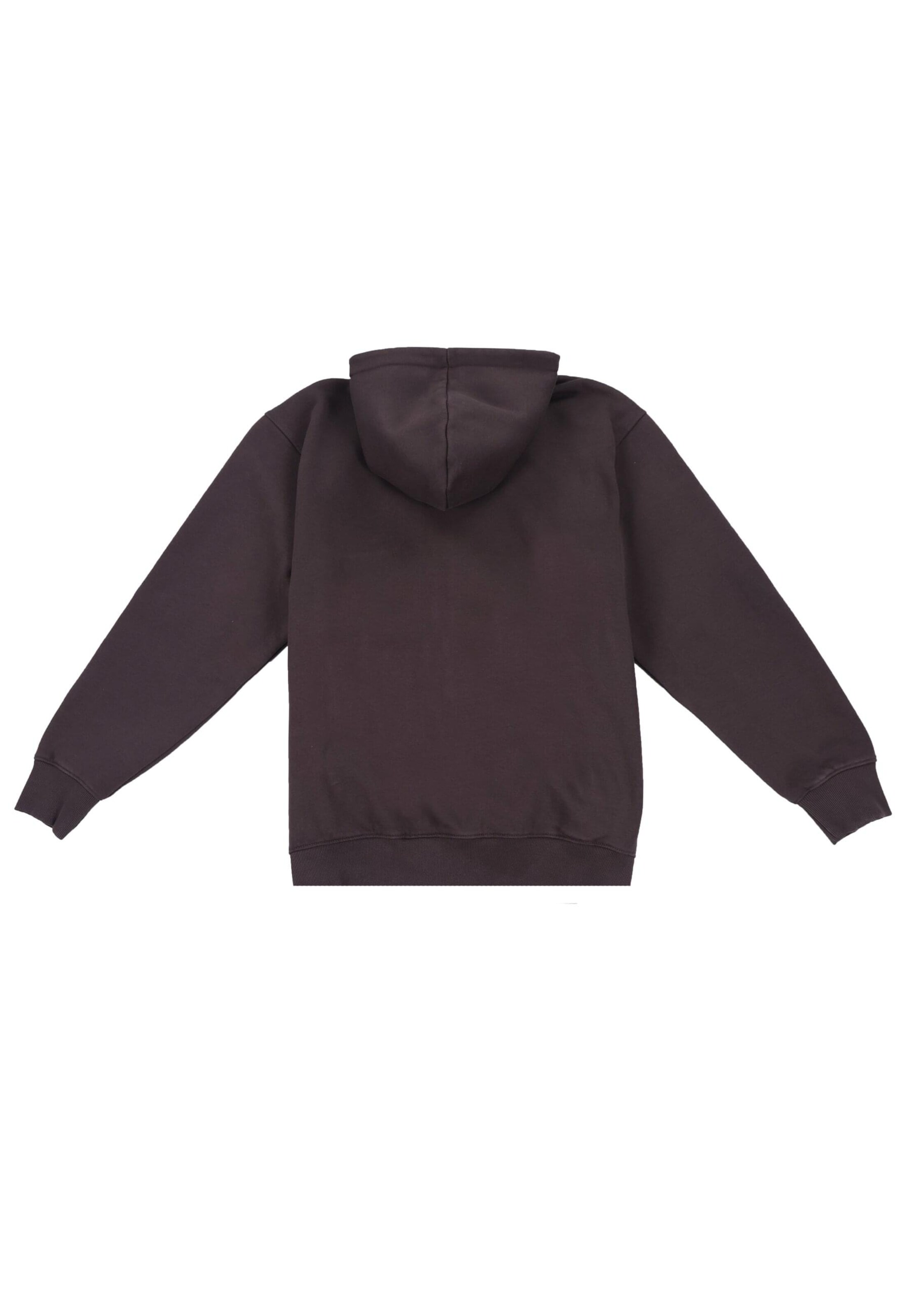 Veste de survêtement Dropsize en marron