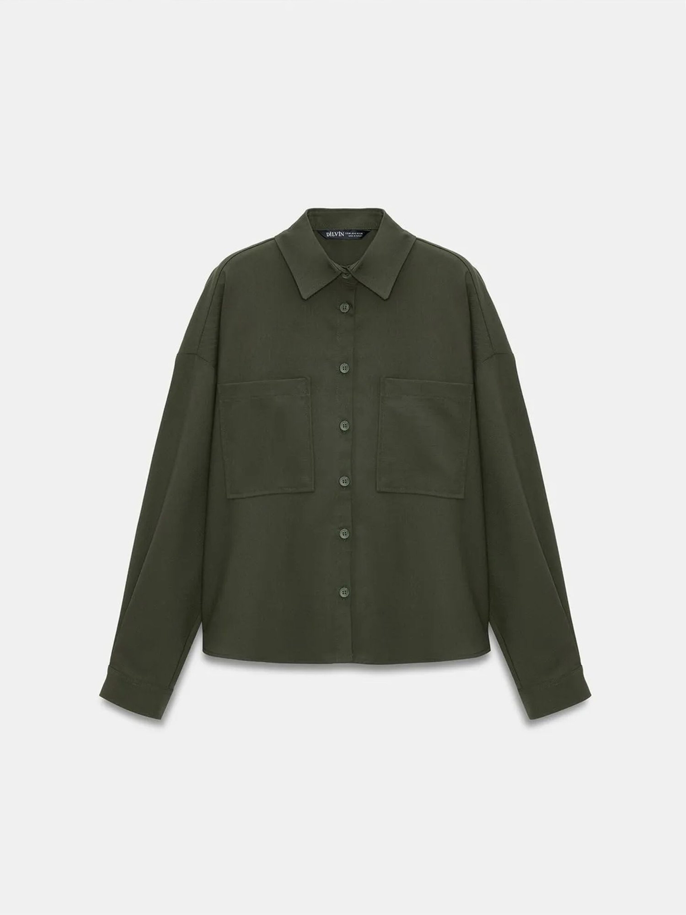 Dilvin Shirt in Green: front