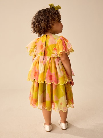 Next Kleid in Mischfarben