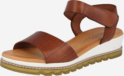 Sandale cu baretă COSMOS COMFORT pe maro, Vizualizare produs