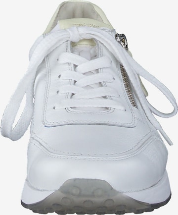 Paul Green Sneakers in White