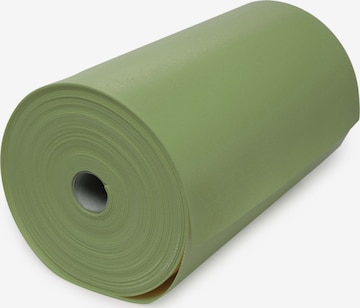 YOGISTAR.COM Mat 'Yogimat® Studio' in Green: front