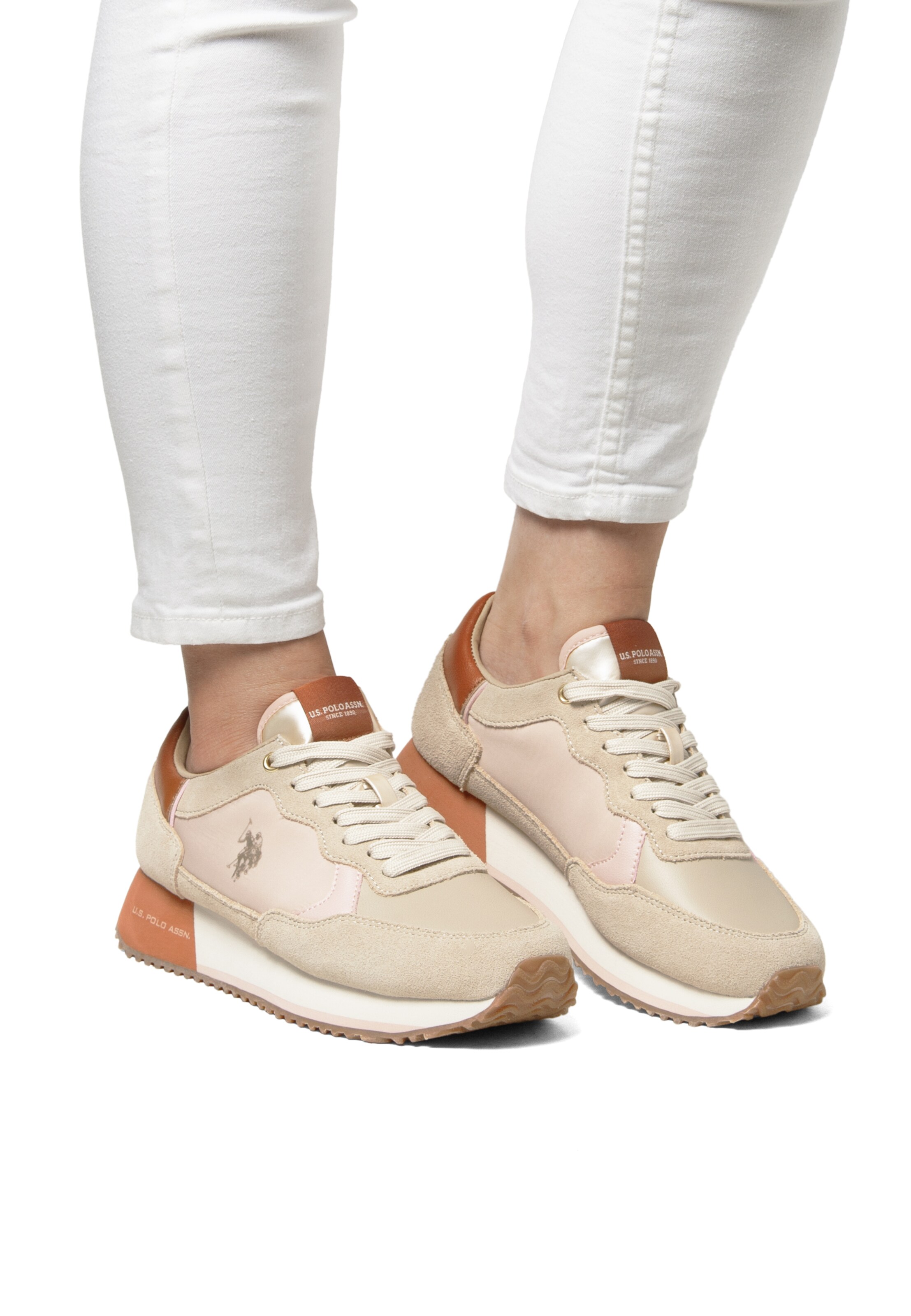 Sneaker bassa 'Sacha005' di U.S. POLO ASSN. in beige