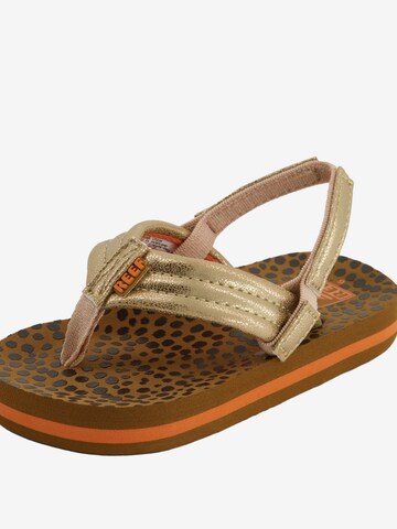REEF Sandals 'Little Ahi' in Gold