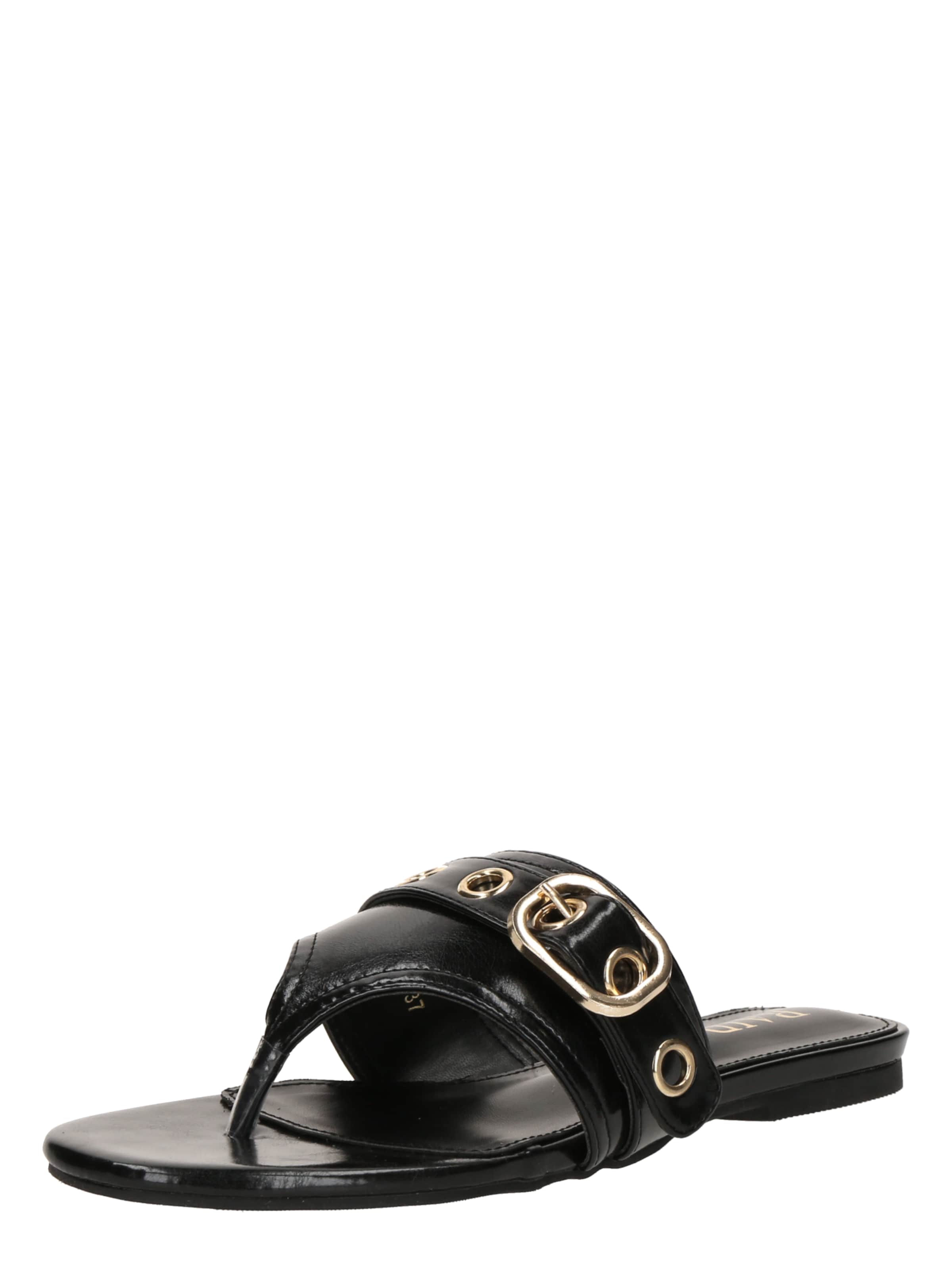 Raid Žabky 'REGENT' – černá: přední strana