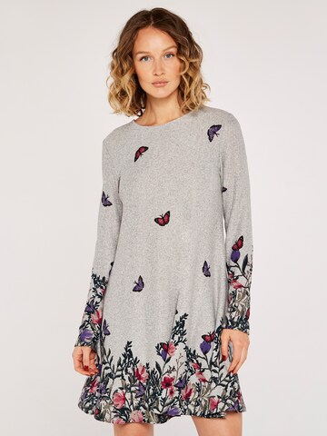 Robe de cocktail Apricot en gris