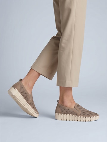 ILSE JACOBSEN Slipper 'Tulip' in Braun: Vorderseite
