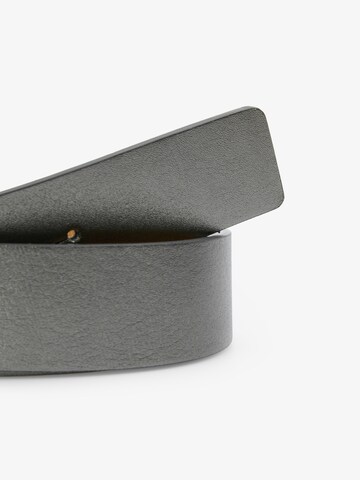 Scalpers Подтяжки ' ' в Бежевый