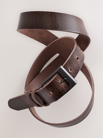 Next Belt in Brown