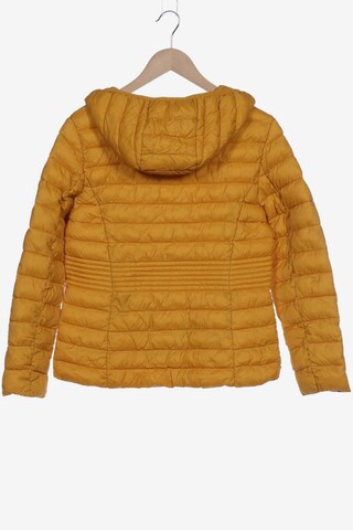 Marie Lund Jacket & Coat in L in Yellow
