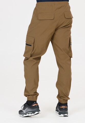 Whistler Regular Sports trousers 'Portus' in Brown