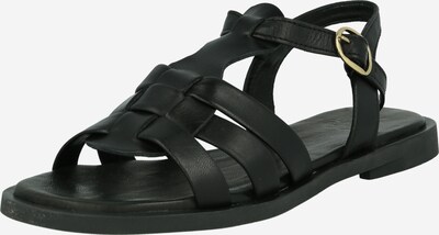 Apple of Eden Páskové sandály 'Layla' - černá, Produkt