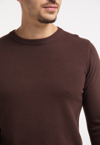 Pull-over RAIDO en marron