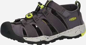 KEEN Sandals 'NEWPORT NEO H2' in Grey: front