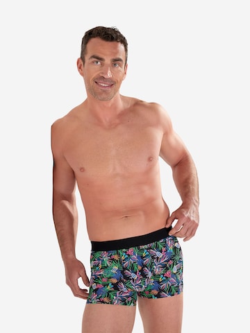 Boxers ' Boxer Briefs Havana ' HOM en mélange de couleurs