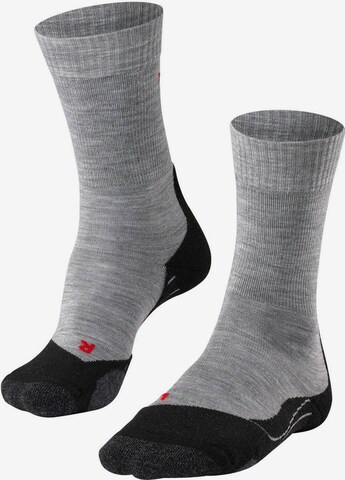 FALKE Sports socks in Grey