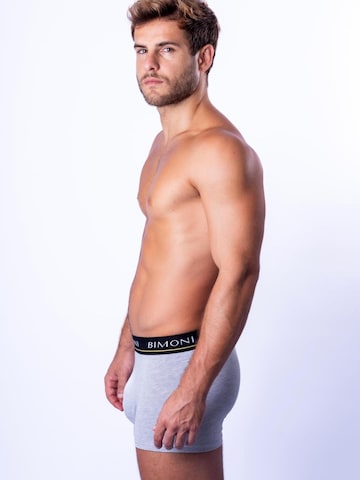BIMONI Boxer shorts in Grey