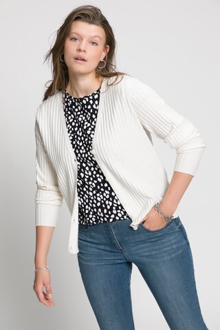 Studio Untold Knit Cardigan in White: front