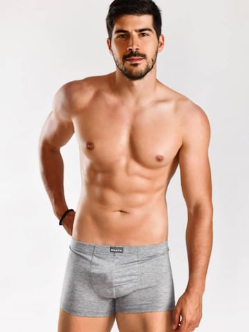 Maxte Boxershorts 'BASIC MAX Boxershorts 5er Pack'‌‌‌‌‌‌‌‌‌‌ in Grau: Vorderseite