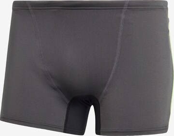 Pantaloncini sportivi da bagno di ADIDAS PERFORMANCE in grigio: frontale