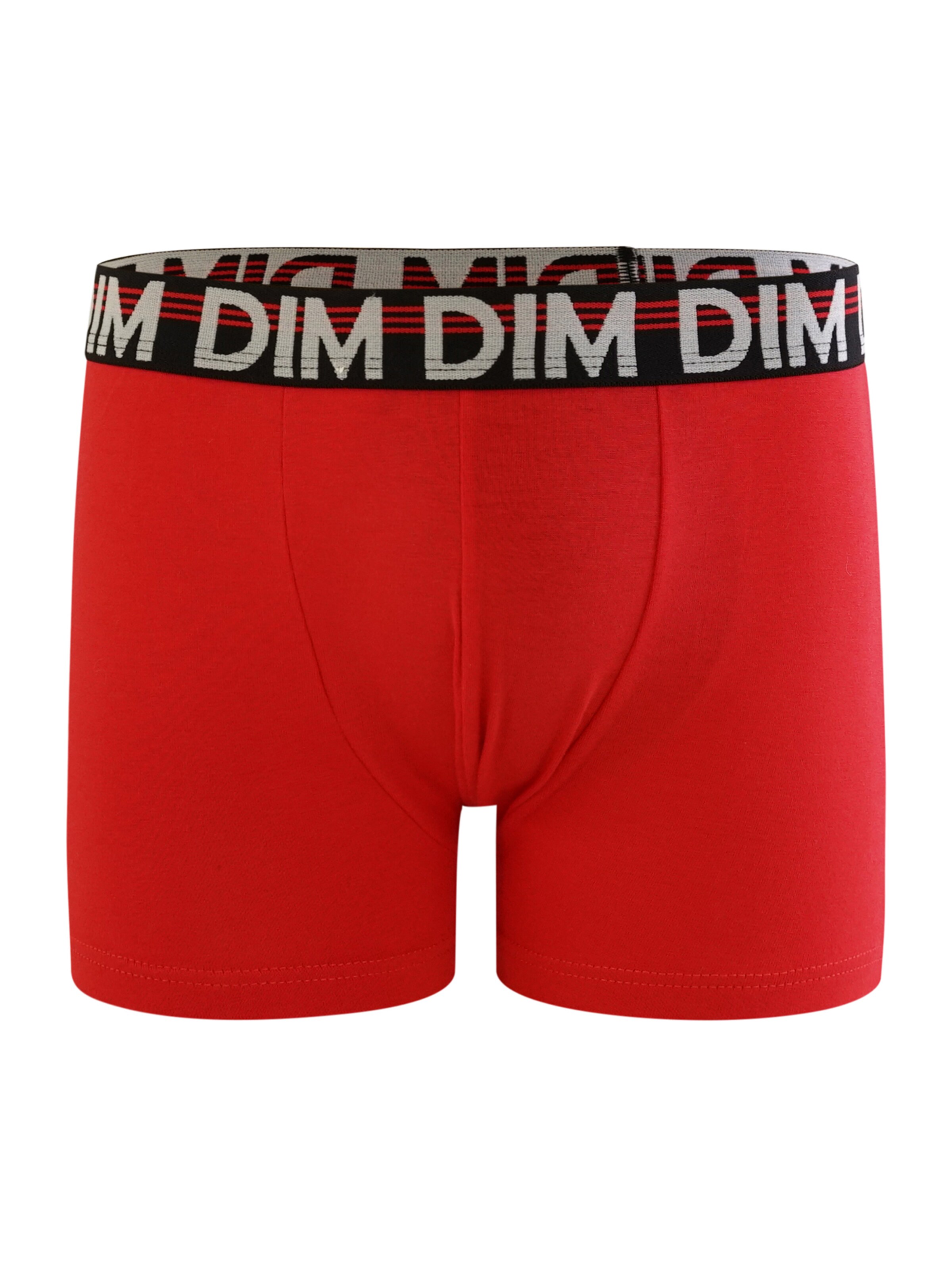 DIM Underpants in Grey