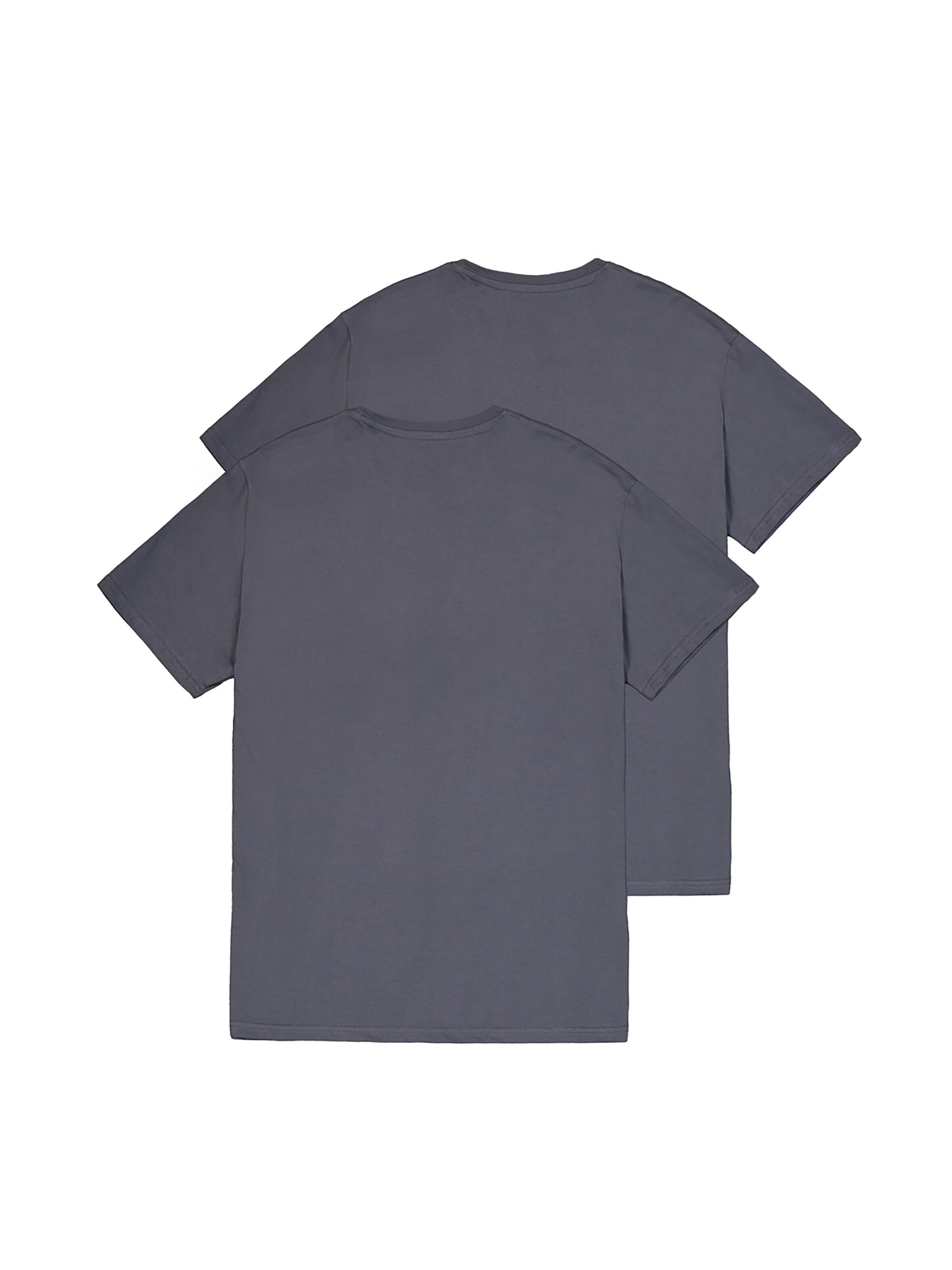 ALPHA INDUSTRIES Футболка в Серый