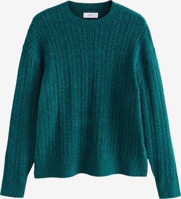 mėlyna Next Megztinis: priekis