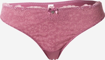 Hunkemöller String bugyik 'Marine' - lila: elől