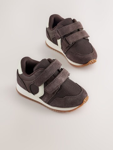 Next Sneakers in Bruin