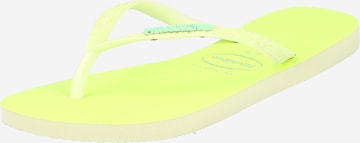 HAVAIANAS Teenslipper in Groen: voorkant