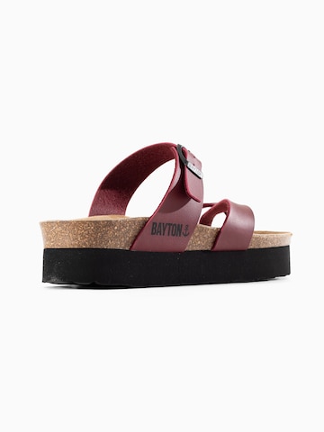 Bayton Muiltjes 'Andromac' in Rood