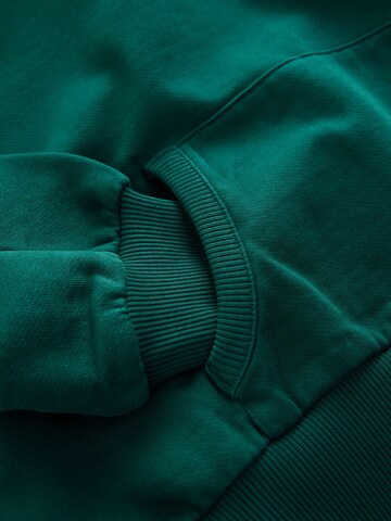 Superdry & Co Sweatshirt in Grün