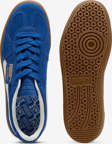 PUMA Sneaker 'Palermo' in Blau