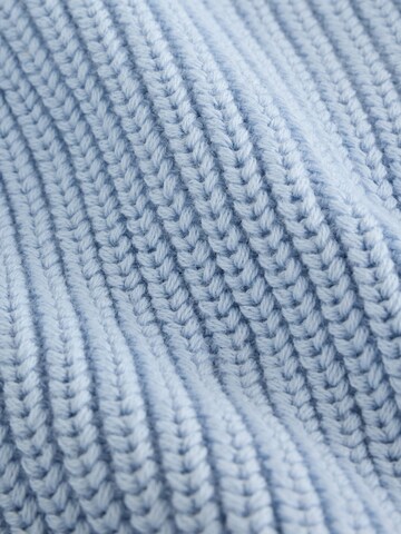 Next Gebreid vest in Blauw